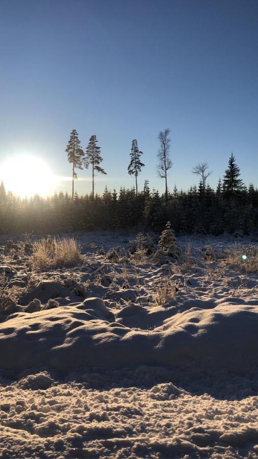 Trevlig Stuga Naera Hovfjaellet Torsby Exterior photo