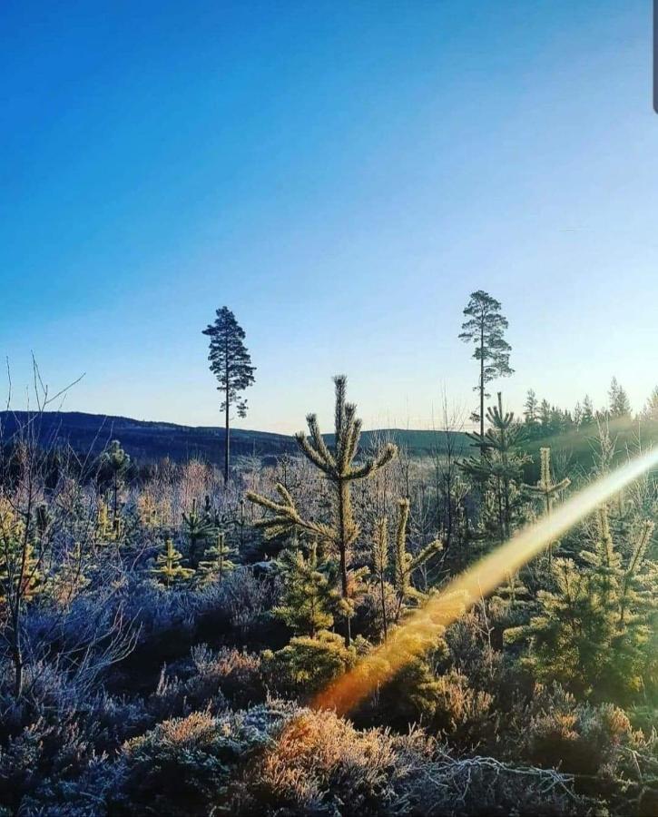 Trevlig Stuga Naera Hovfjaellet Torsby Exterior photo