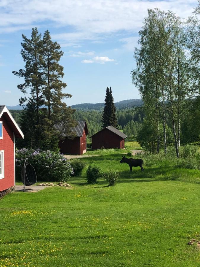 Trevlig Stuga Naera Hovfjaellet Torsby Exterior photo